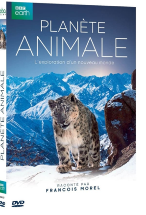 Planete Animale